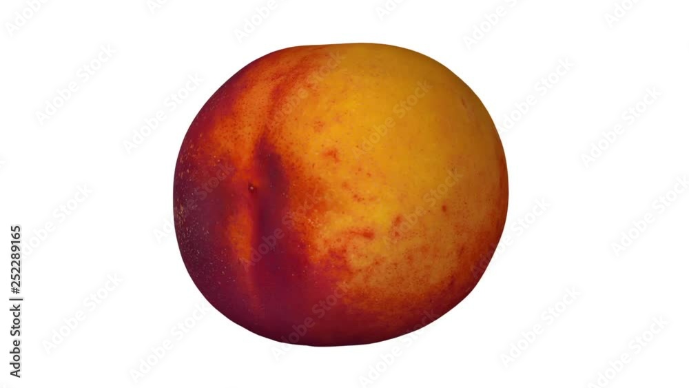 Realistic render of a rotating peach (nectarine variety) on white background. The video is seamlessly looping, and the 3D object is scanned from a real fruit. Realistic render of a rotating peach (nectarine variety) on white background. The video is seamlessly looping, and the 3D object is scanned from a real fruit.