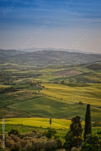 View of valley Val D Orcia on sunset. Scenic Tuscany landscape panorama in sunset with rolling hills and harvest fields  Val d Orcia  Tuscany  Italy