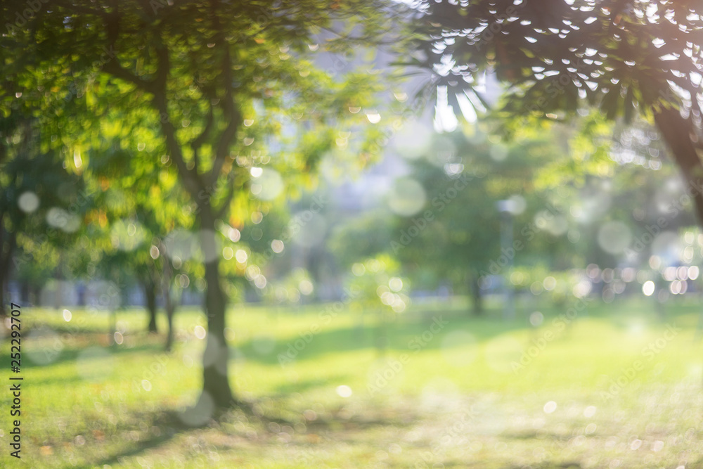 Blur park with sun light abstract background Blur park with sun light abstract background