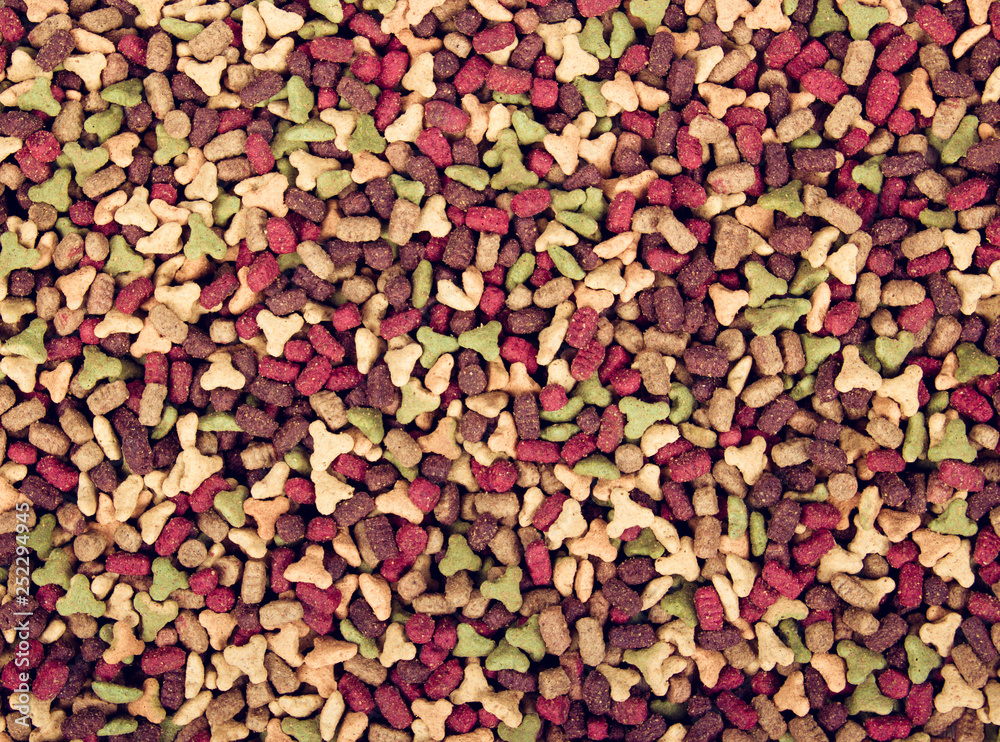 Texture of cat food. Dry cat food. Top view Texture of cat food. Dry cat food. Top view