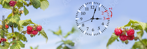 Daylight Saving Time. DST. Wall Clock going to winter time. Turn time forward.