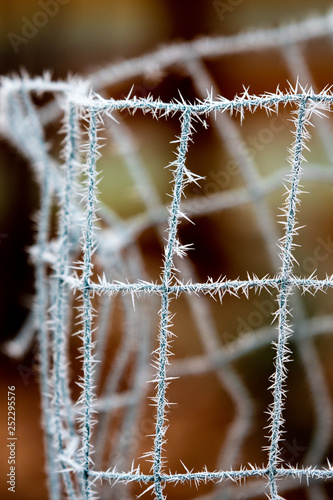 Morning frost on the fence photo