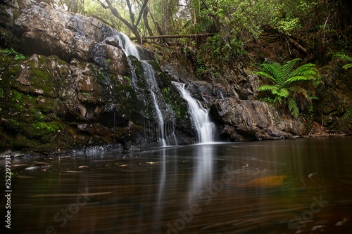 Fototapeta Naklejka Na Ścianę i Meble -  Lilydale Falls