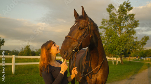 CLOSE UP: Smiling young woman looking at her majestic brown stallion at sunset. © helivideo