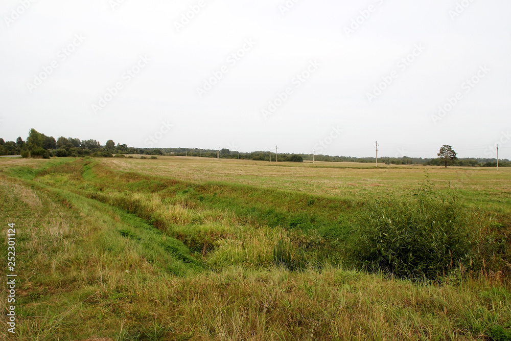 Field, reclamation channel and forest
