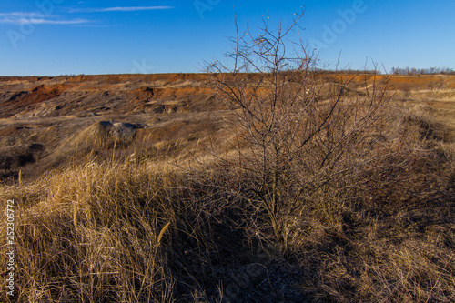 Morning winter snowless landscape photo