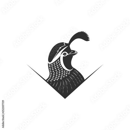 Fotografia quail logo vector illustration