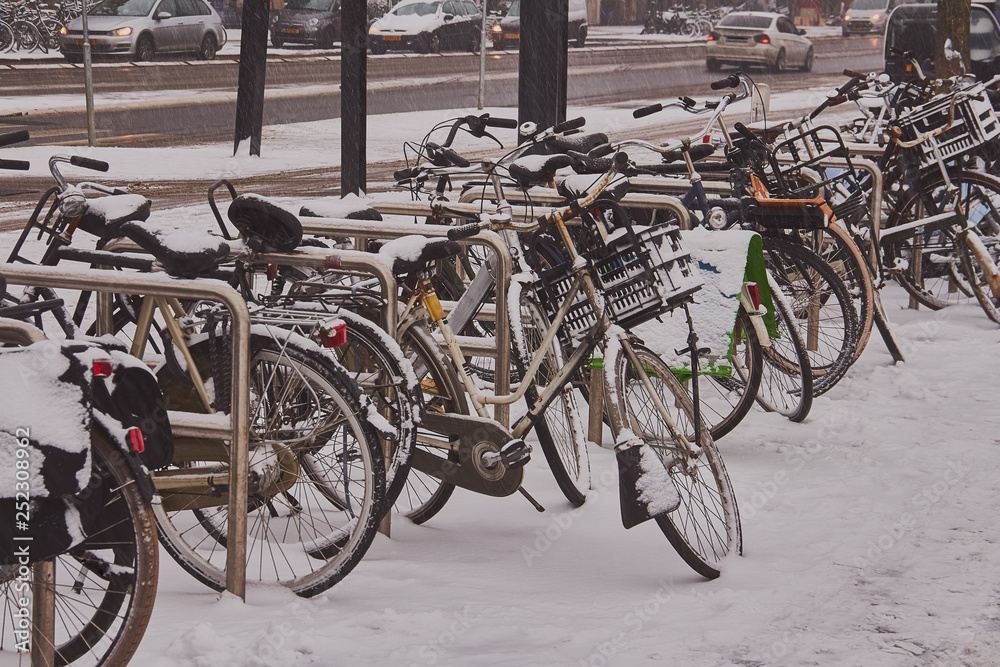 Rare snow in Amsterdam fell asleep bicycles