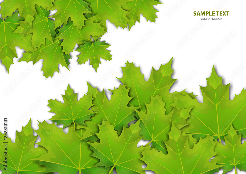 Abstract background from a variety of bright maple leaves on a white background. Stylish modern design for flyers, posters, flyers, banners. Vector illustration Abstract background from a variety of bright maple leaves on a white background. Stylish modern design for flyers, posters, flyers, banners. Vector illustration