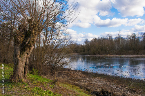 The Sava River as it flows through the small village of Muzilovcica in Sisak-Moslavina County in central Croatia  photo