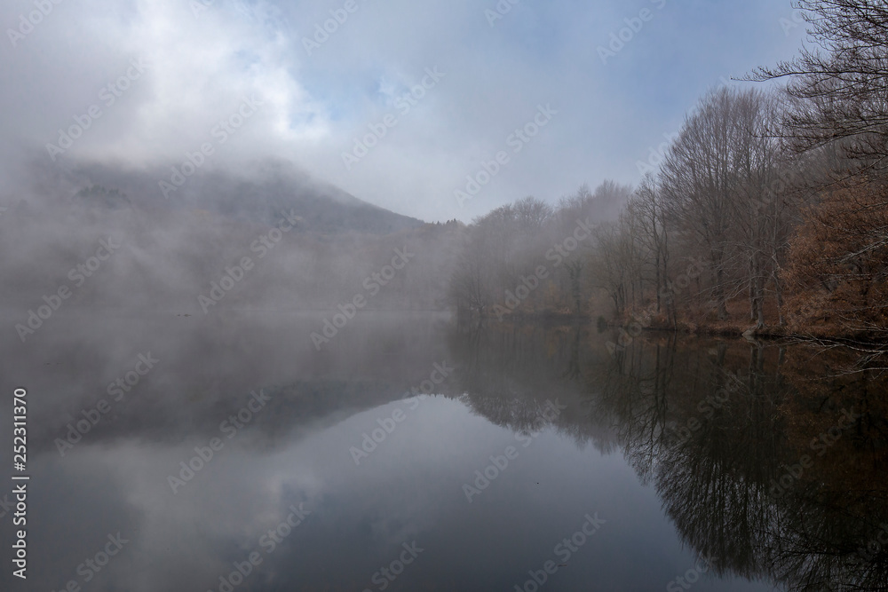 Swamp of Santa Fe with fog, Montseny natural park, Catalonia, Spain Swamp of Santa Fe with fog, Montseny natural park, Catalonia, Spain