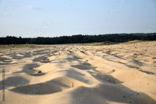 Bledow Desert (Pustynia Bledowska). Polish dessert between Bledow and the villages of Chechlo and Klucze in Poland.