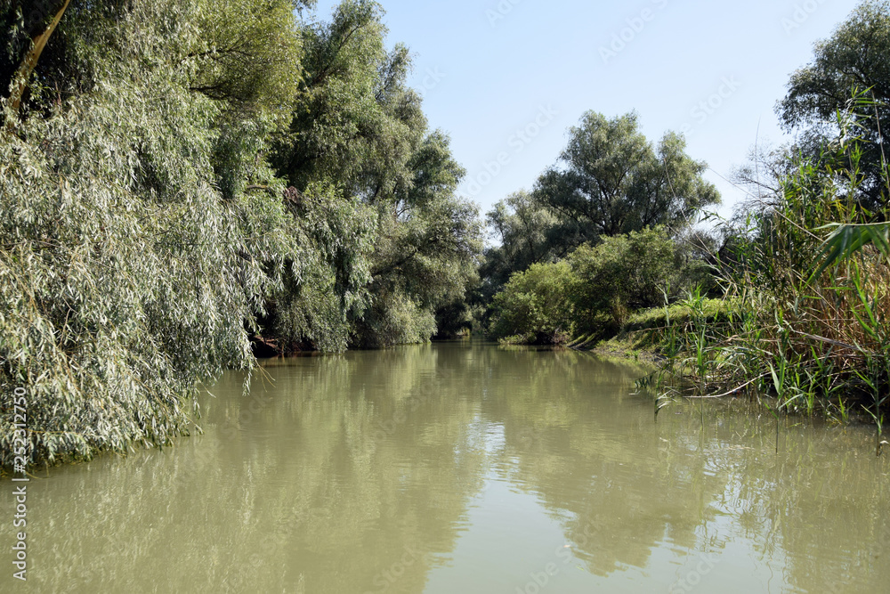 Landscape of Danube Delta. Danube distributary channel. Romania. Landscape of Danube Delta. Danube distributary channel. Romania.