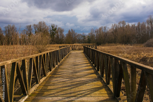 A wooden walkway in the Kopacki Rit Nature Reserve in winter in north east Croatia. Located by the Serbian border  close to the confluence of the Drava and Danube rivers  it is one of the largest and 