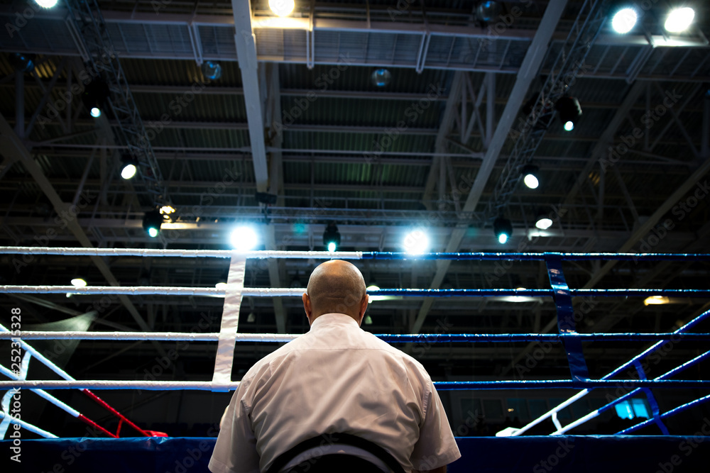 Boxing referee Boxing referee