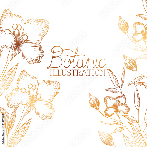 Fototapeta Naklejka Na Ścianę i Meble -  botanic illustration label with plants