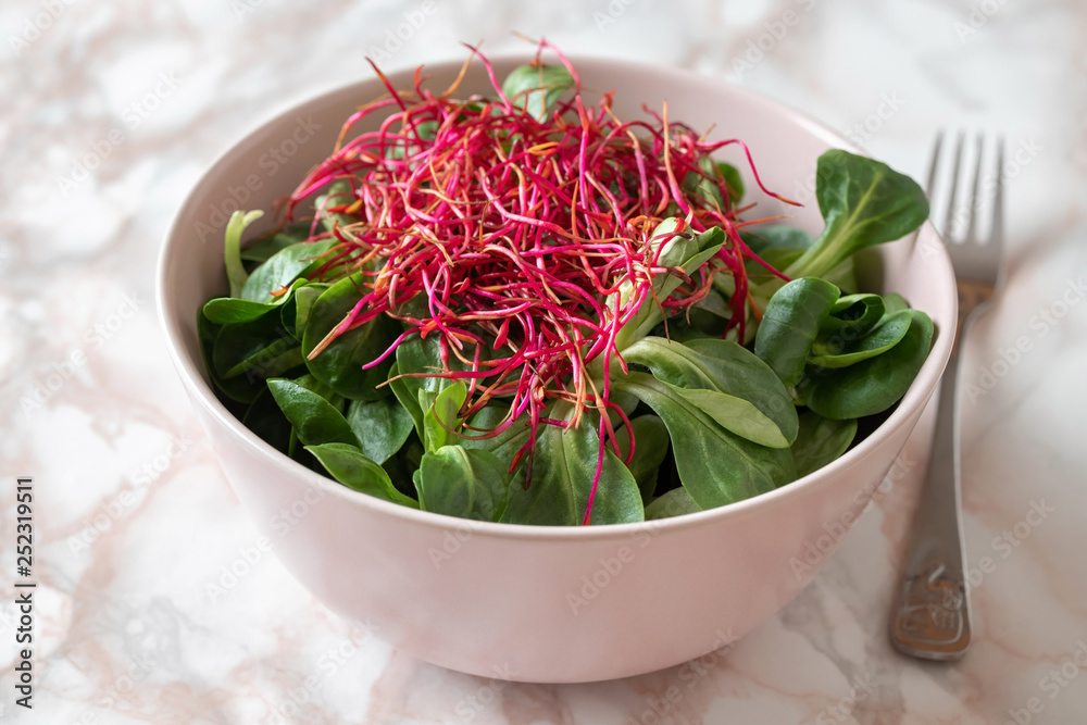 Salad with lamb's lettuce and fresh red beet sprouts Salad with lamb's lettuce and fresh red beet sprouts