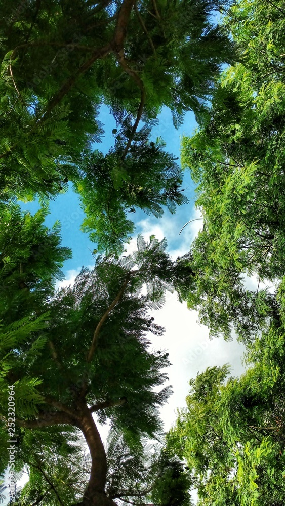 Fototapeta premium Cielo