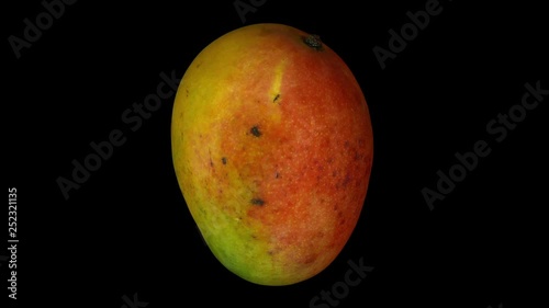 Realistic render of a rotating Sindhoora mango on black background. The video is seamlessly looping, and the 3D object is scanned from a real mango. photo