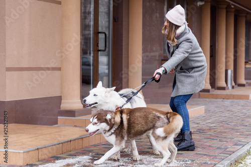 Canvas Print Woman having troubles holding two excited husky dogs on a leash