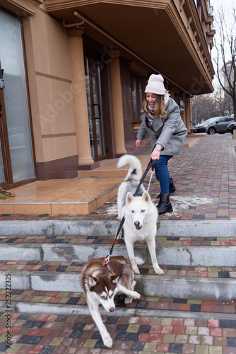 Woman having troubles holding two excited husky dogs on a leash. Naughty dogs pulling on leash. Training dogs problems concept. Copy space