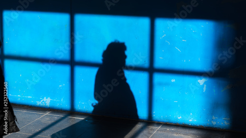 Photography The shadow of a woman on a blue surface