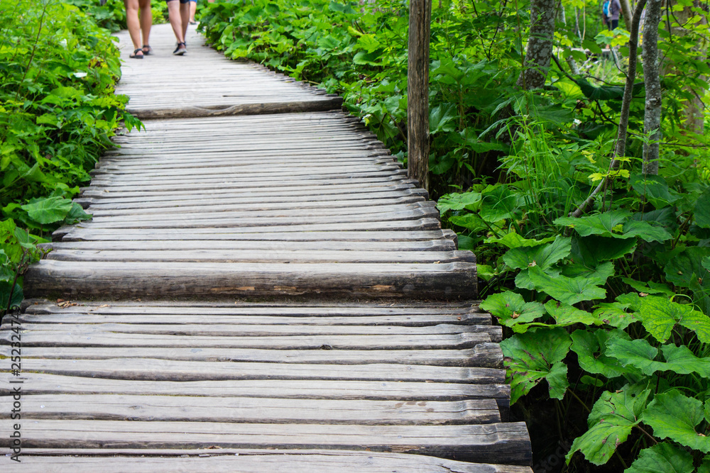 wooden footpath through Plitvice lakes national park wooden footpath through Plitvice lakes national park