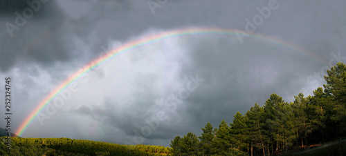 Bright rainbow shining on gray overcast sky near green forest in amazing countryside photo