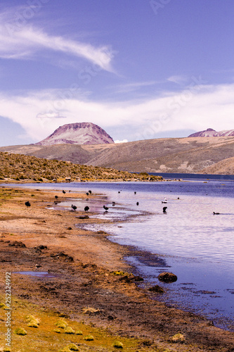 chungara lake in chile photo