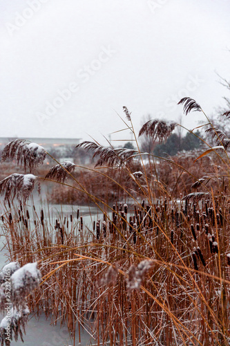 Quiet park in the city