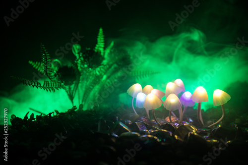 Fantasy glowing mushrooms in mystery dark forest close-up. Beautiful macro shot of magic mushroom or souls lost in avatar forest. Fairy lights on background with fog.