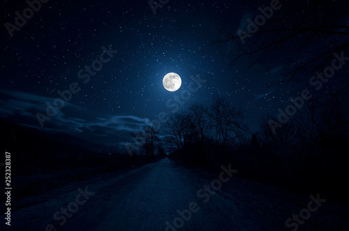 Fotografiet Mountain Road through the forest on a full moon night