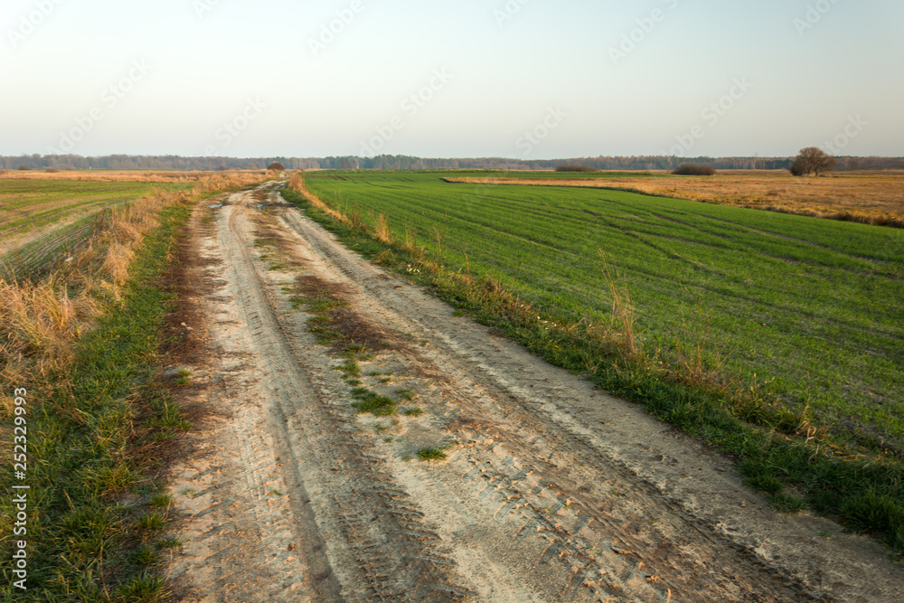 Long sandy road through green fields, horizon and sky