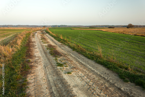 Long sandy road through green fields, horizon and sky © darekb22