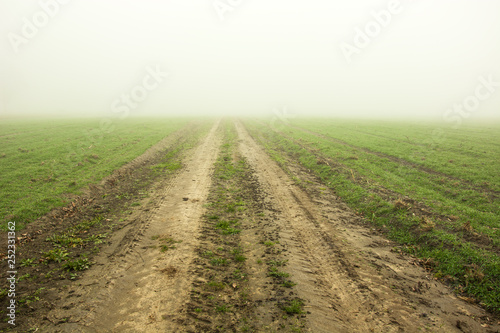 Dirt road through fields and the horizon in the fog