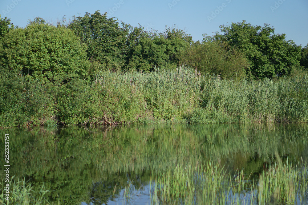 Pretty river in rural areas. European landscape of Russia and Siberia. Beautiful tranquil view of nature. Stock background, photo. Pretty river in rural areas. European landscape of Russia and Siberia. Beautiful tranquil view of nature. Stock background, photo.