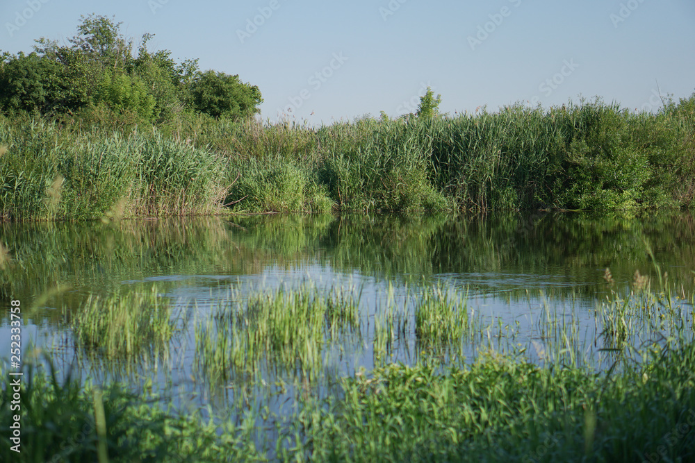 Pretty river in rural areas. European landscape of Russia and Siberia. Beautiful tranquil view of nature. Stock background, photo. Pretty river in rural areas. European landscape of Russia and Siberia. Beautiful tranquil view of nature. Stock background, photo.