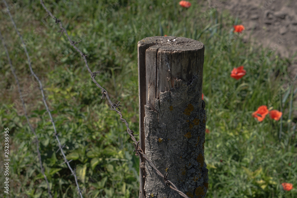 Rustic fence of logs. Beautiful authentic field in the nature reserve with gardens. Stock background, photo Rustic fence of logs. Beautiful authentic field in the nature reserve with gardens. Stock background, photo