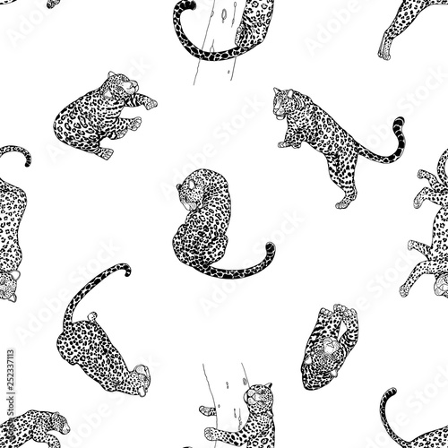 Seamless pattern of hand drawn sketch style leopards isolated on white background. Vector illustration.