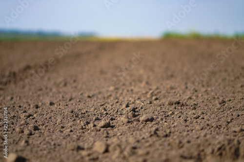 Landscape with agricultural land, in slope, recently plowed and prepared for the crop, with a plantation. summer field. Stock background, photo
