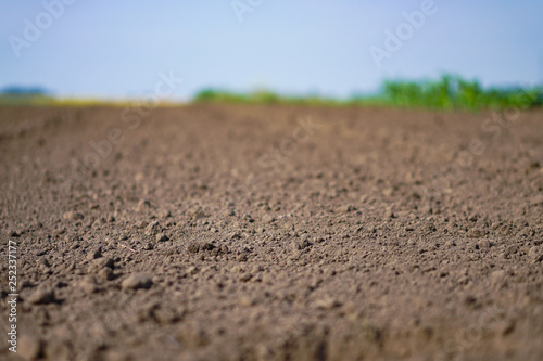 Landscape with agricultural land, in slope, recently plowed and prepared for the crop, with a plantation. summer field. Stock background, photo
