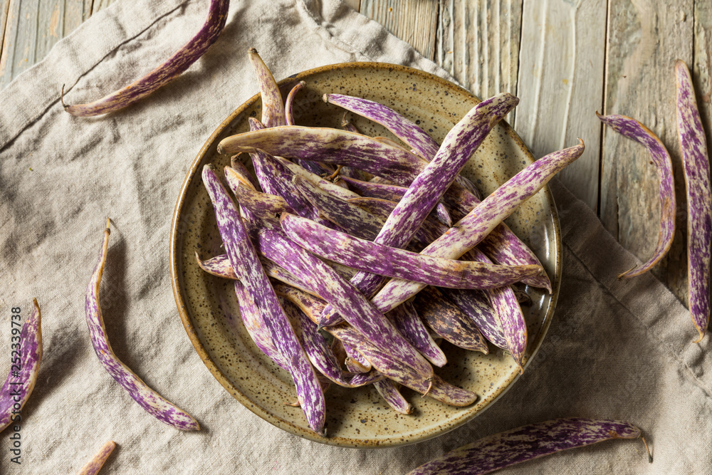 Organic Purple Dragon Tongue Beans