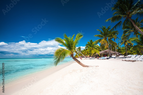 Palm trees on white sandy beach in Caribbean sea, Saona island. Dominican Republic.