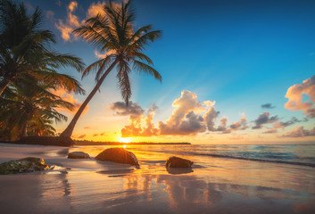 Sierkussen Strand en zee Tropisch strand Punta Cana met palm  © ValentinValkov