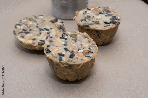 Homemade bird suet cakes