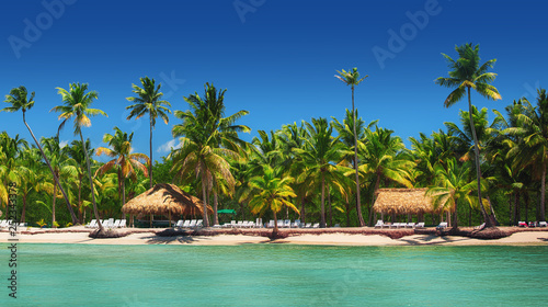 Panoramic view of Exotic Palm trees on the tropical beach.