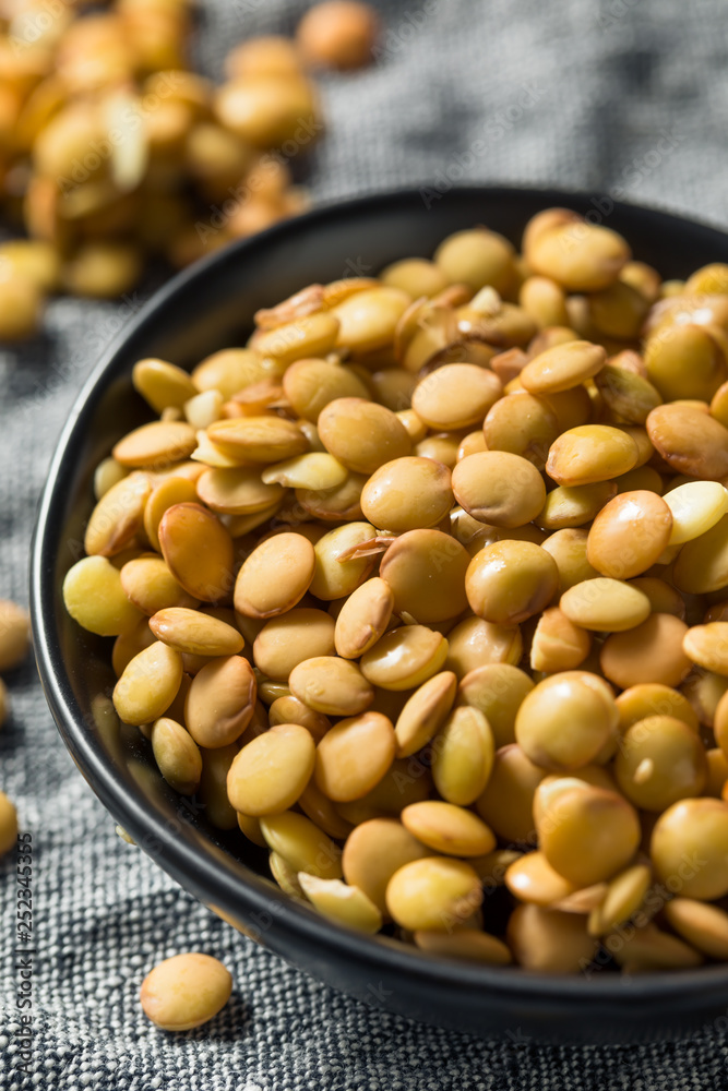 Raw Organic Fresh Lentils