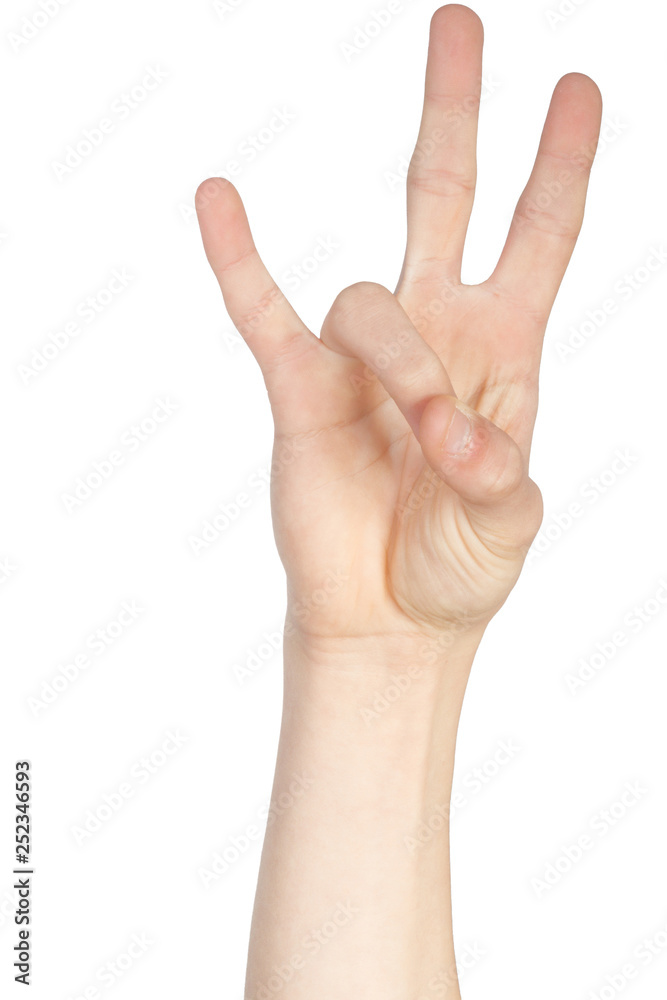 Alphabet in American Sign Language Alphabet in American Sign Language
