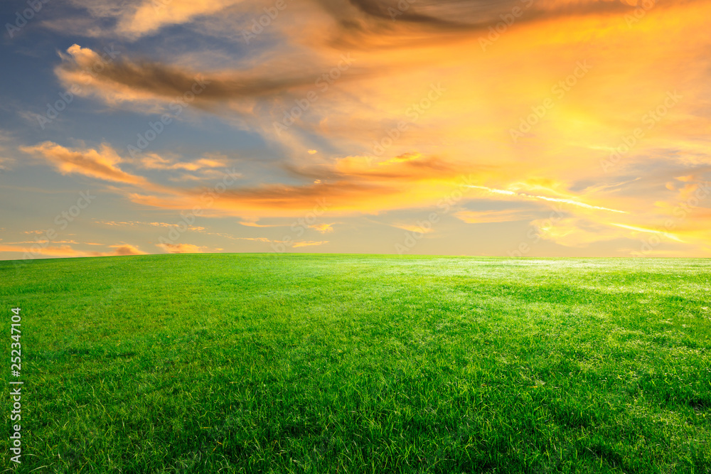 Green grass and beautiful sky at sunset