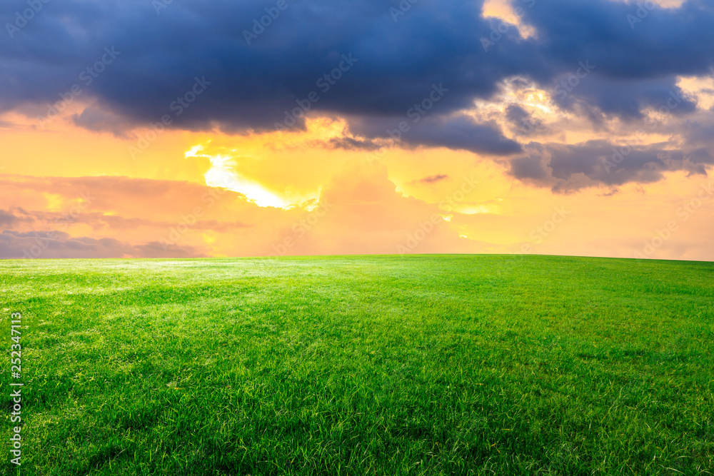 Green grass and beautiful sky at sunset